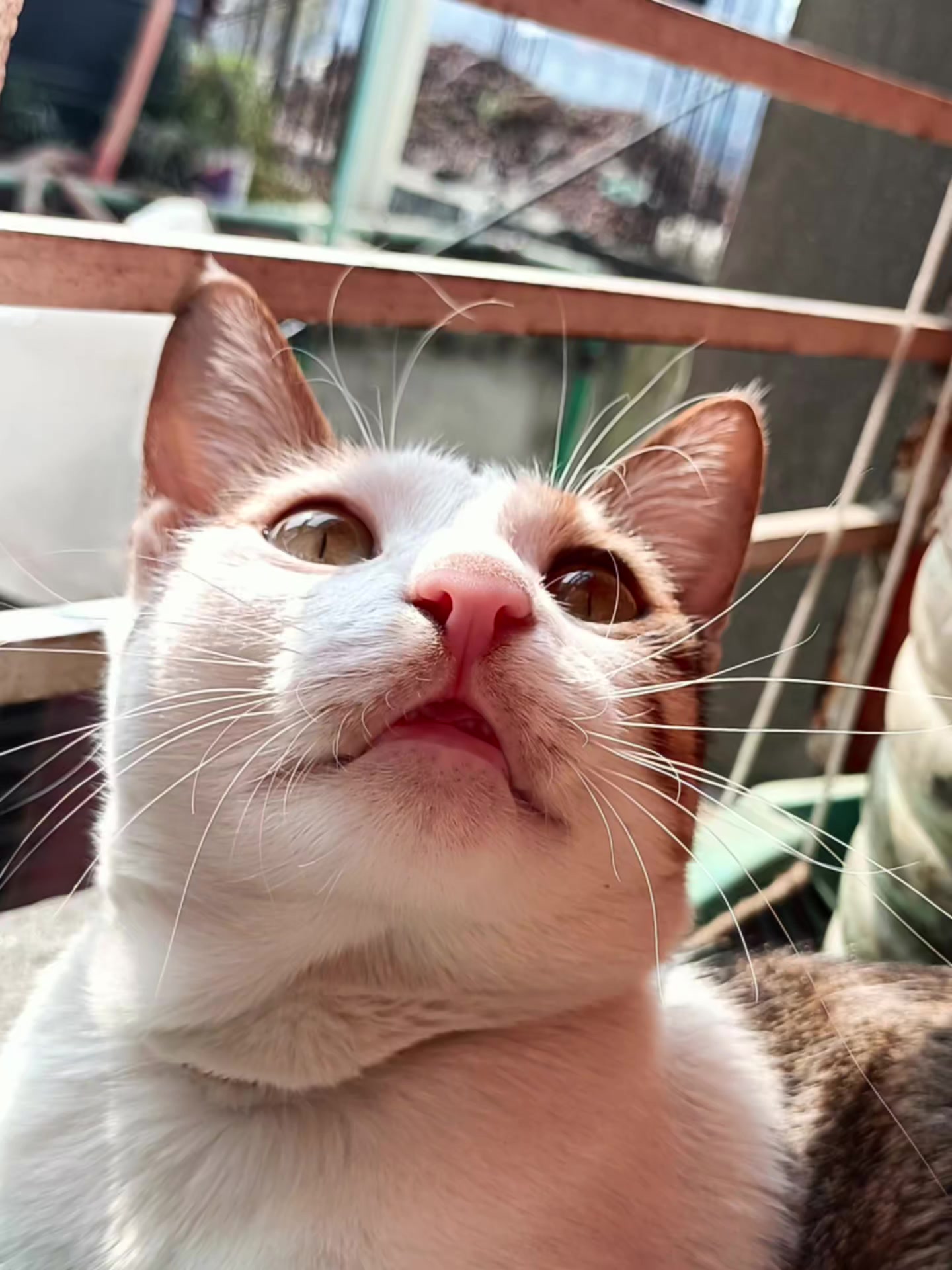 @đģ M I T H A I đģ