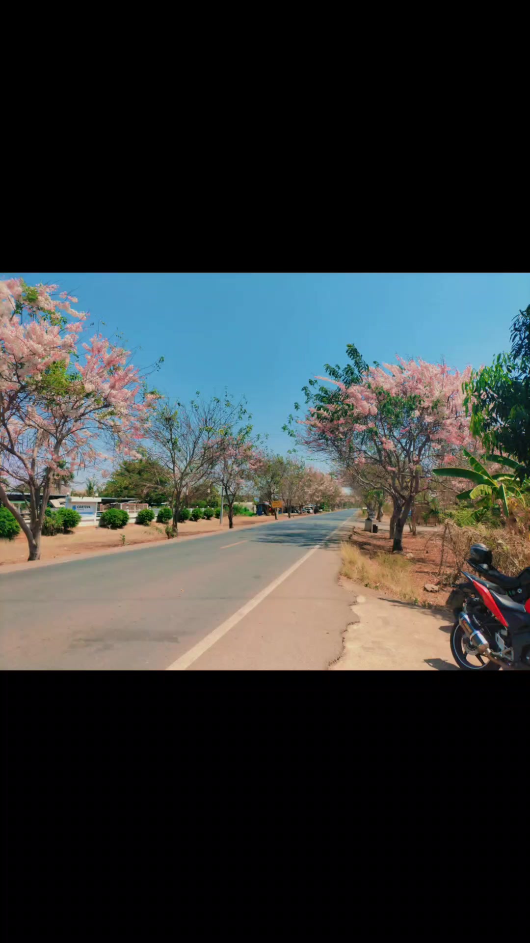 @PrangZa อะโลห้า