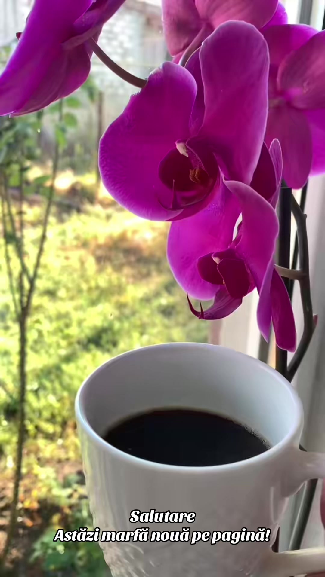 @• Ella•furnizori_reali💸
