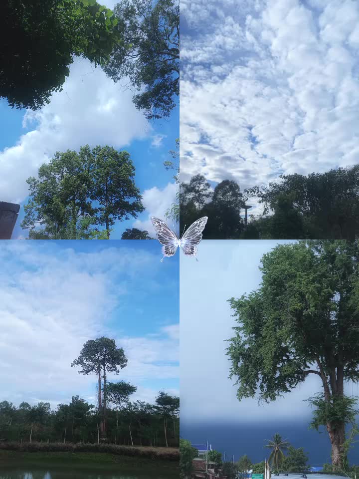 @𝒮𝓊𝓃𝓁𝒾𝑔𝒽𝓉