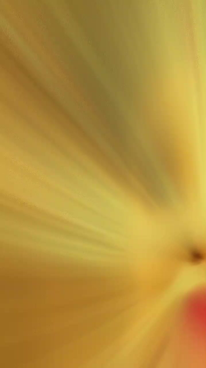 @mero__yatra2