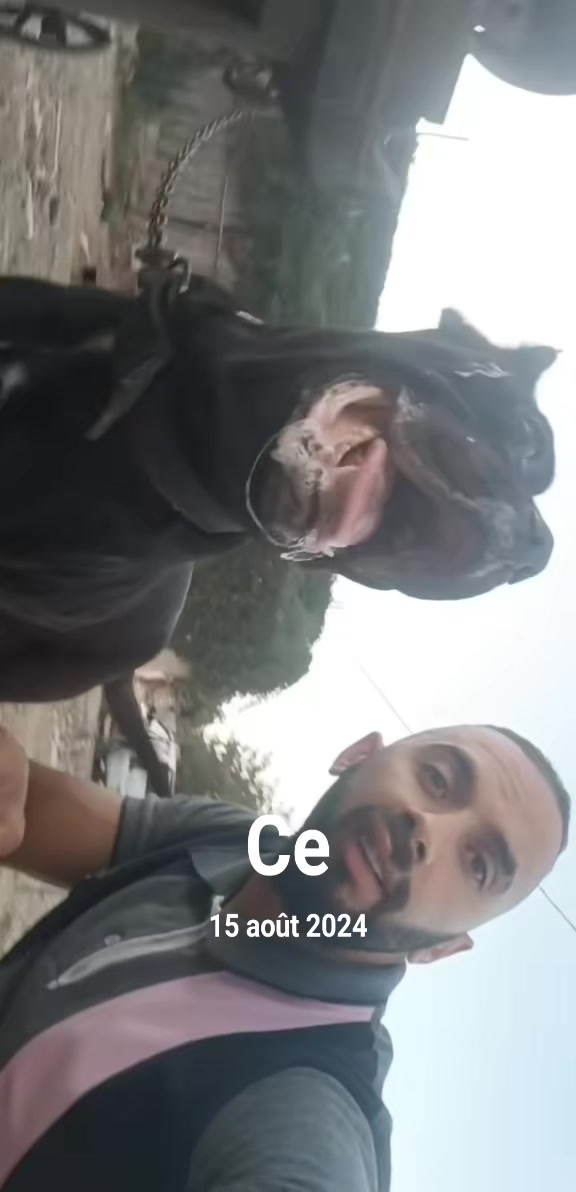 @khaled