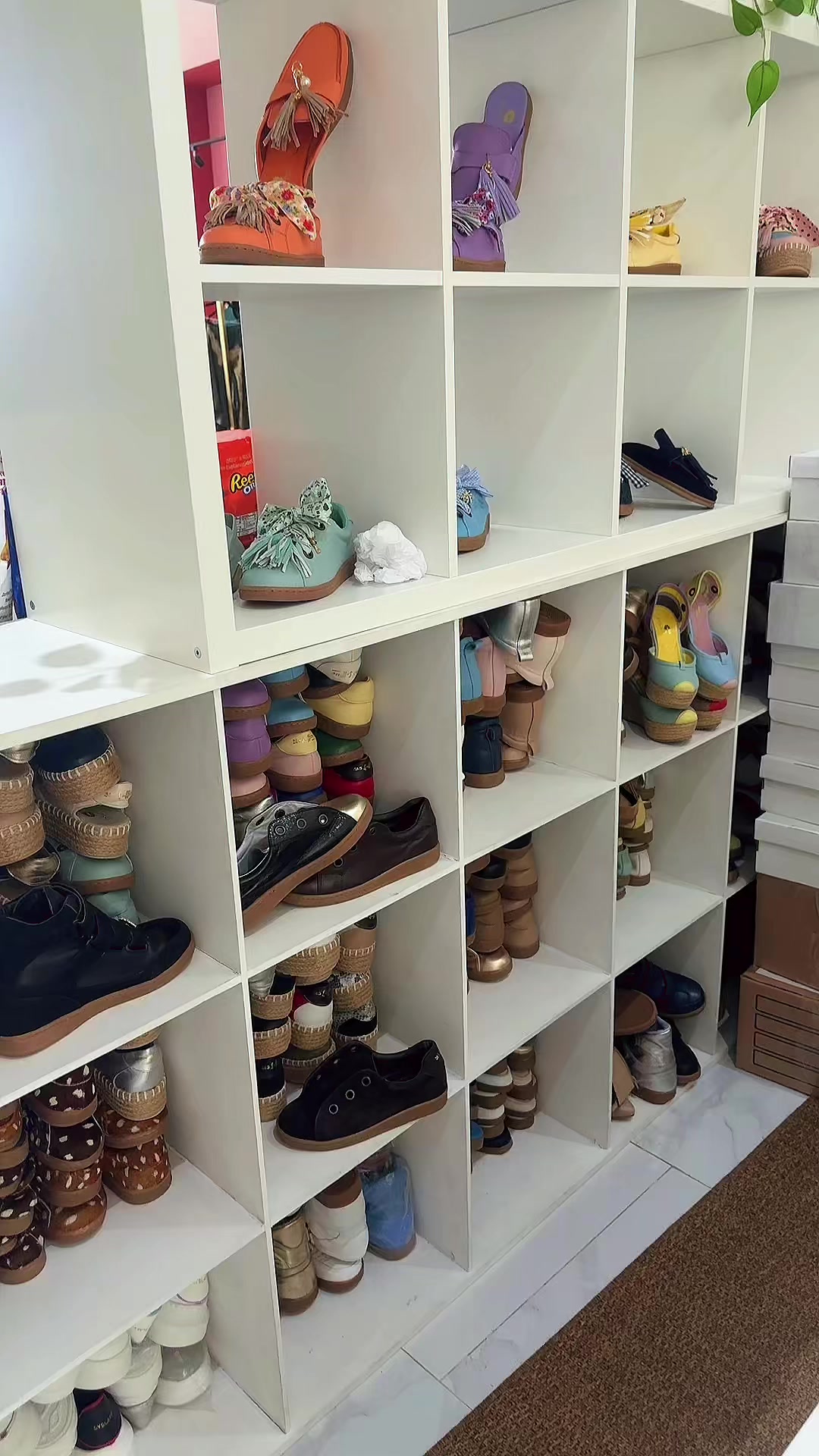 @Zapatos Syslaffitte