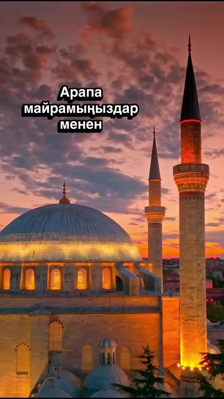 @_asel_nurmanova_