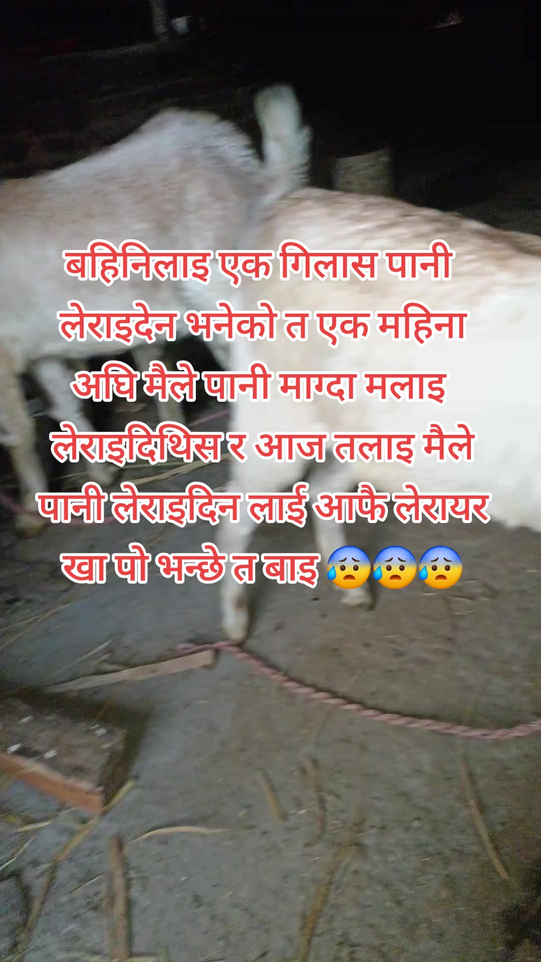 @manjushree❤️