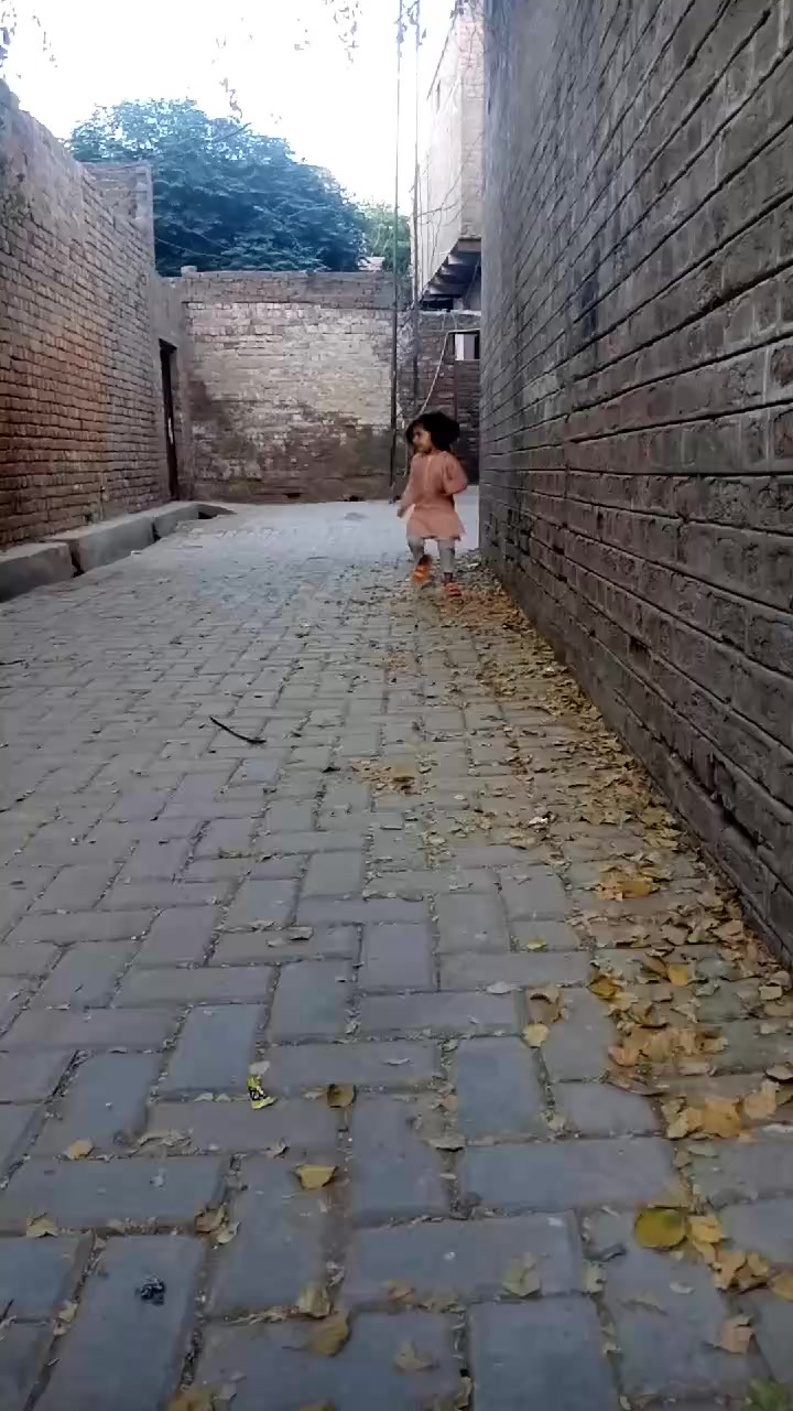 @ֆʏɛɖ զǟʏօօʍ ʝɨʟʟǟռɨ 🇧🇫