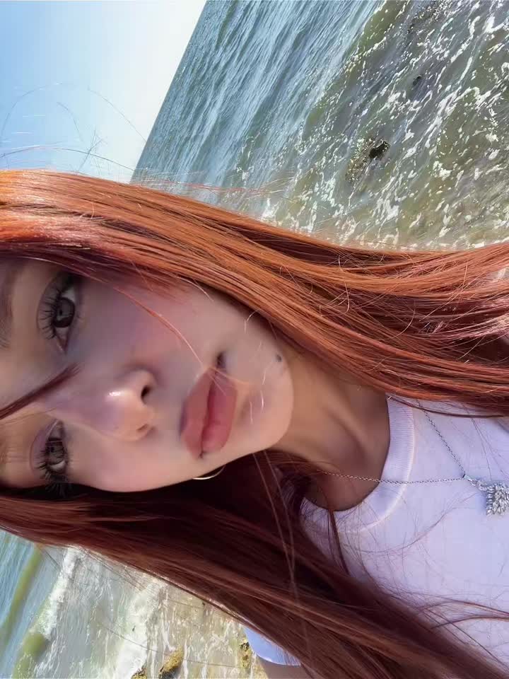 @bilirkisi
