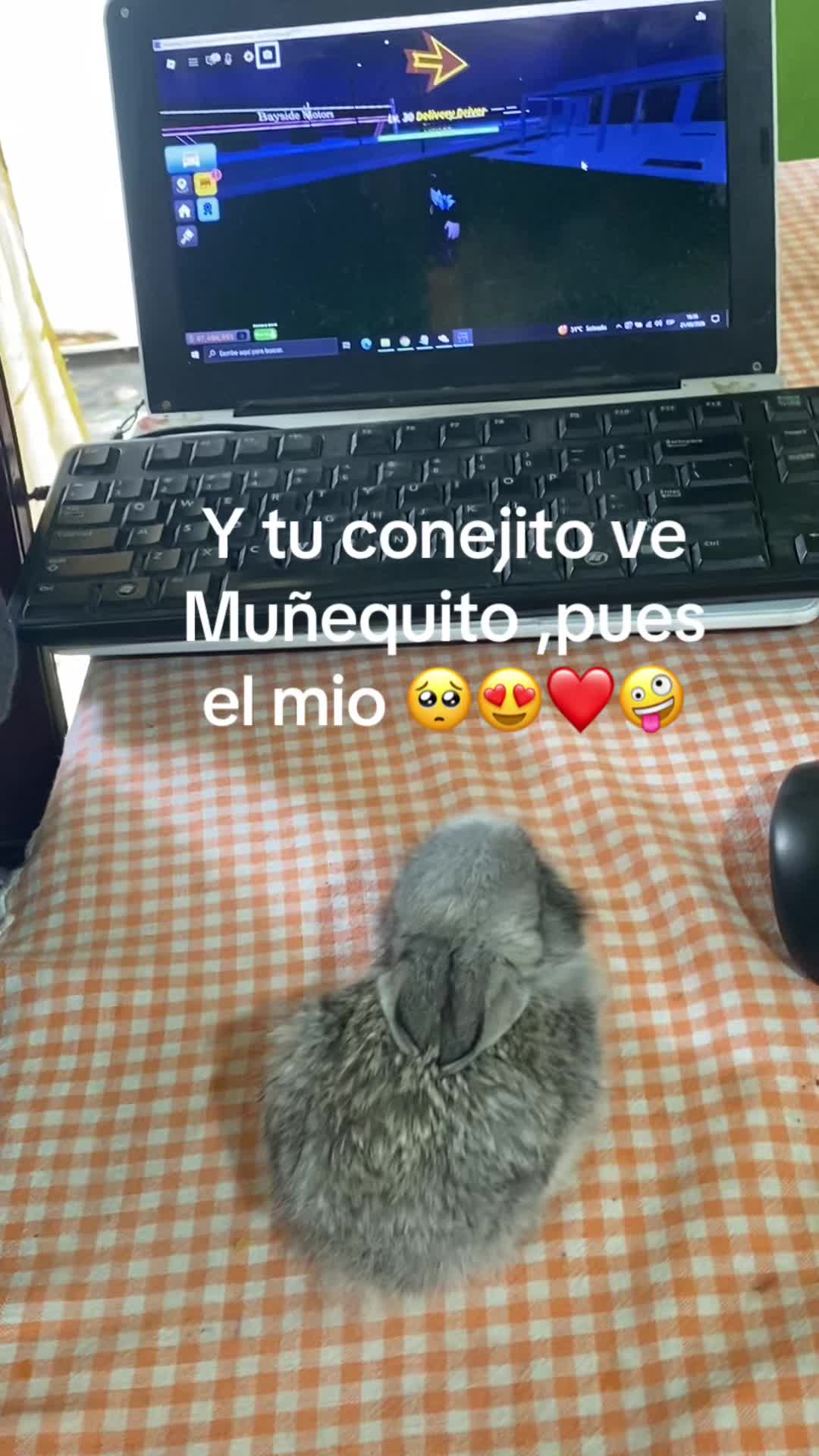@Kaly😍