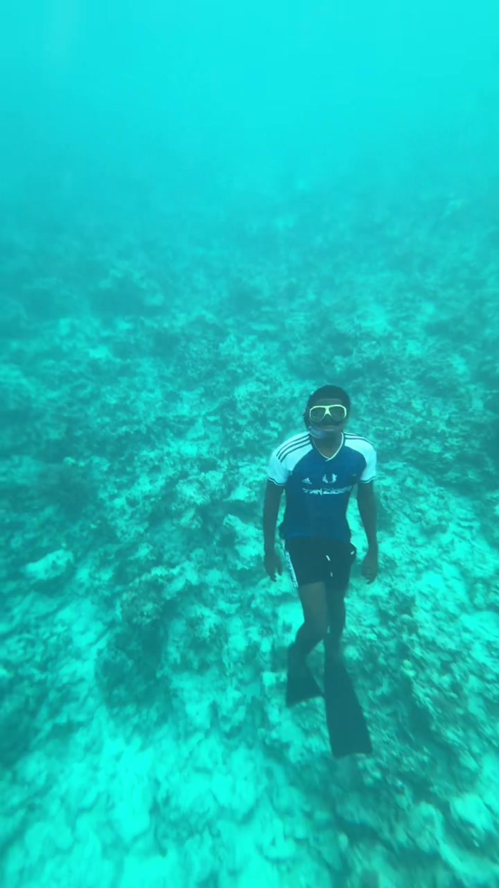 @letsgotozanzibar