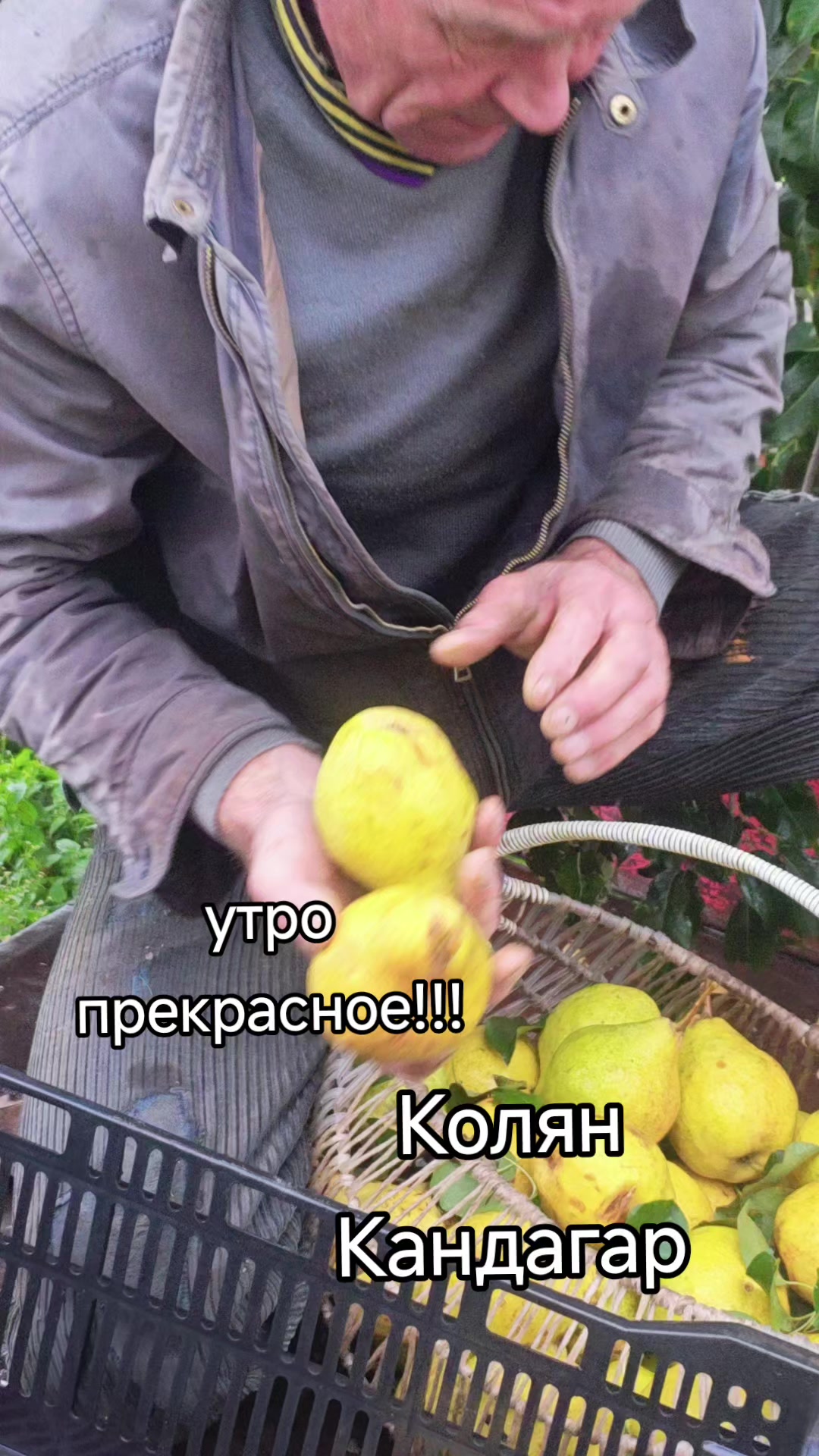 @Картофель Могилёв