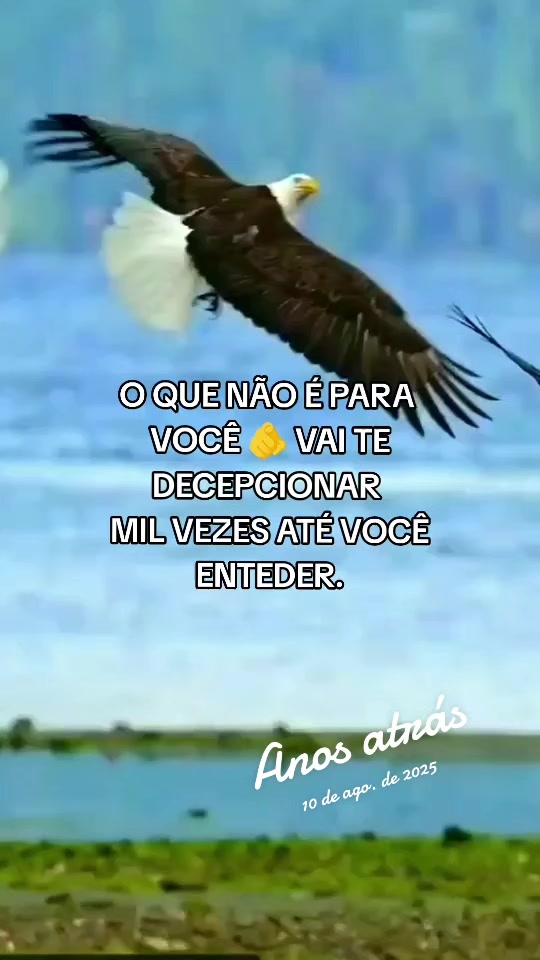 @🦅🦅🌞ANGEWL MOTIVADA🌞🦅🦅