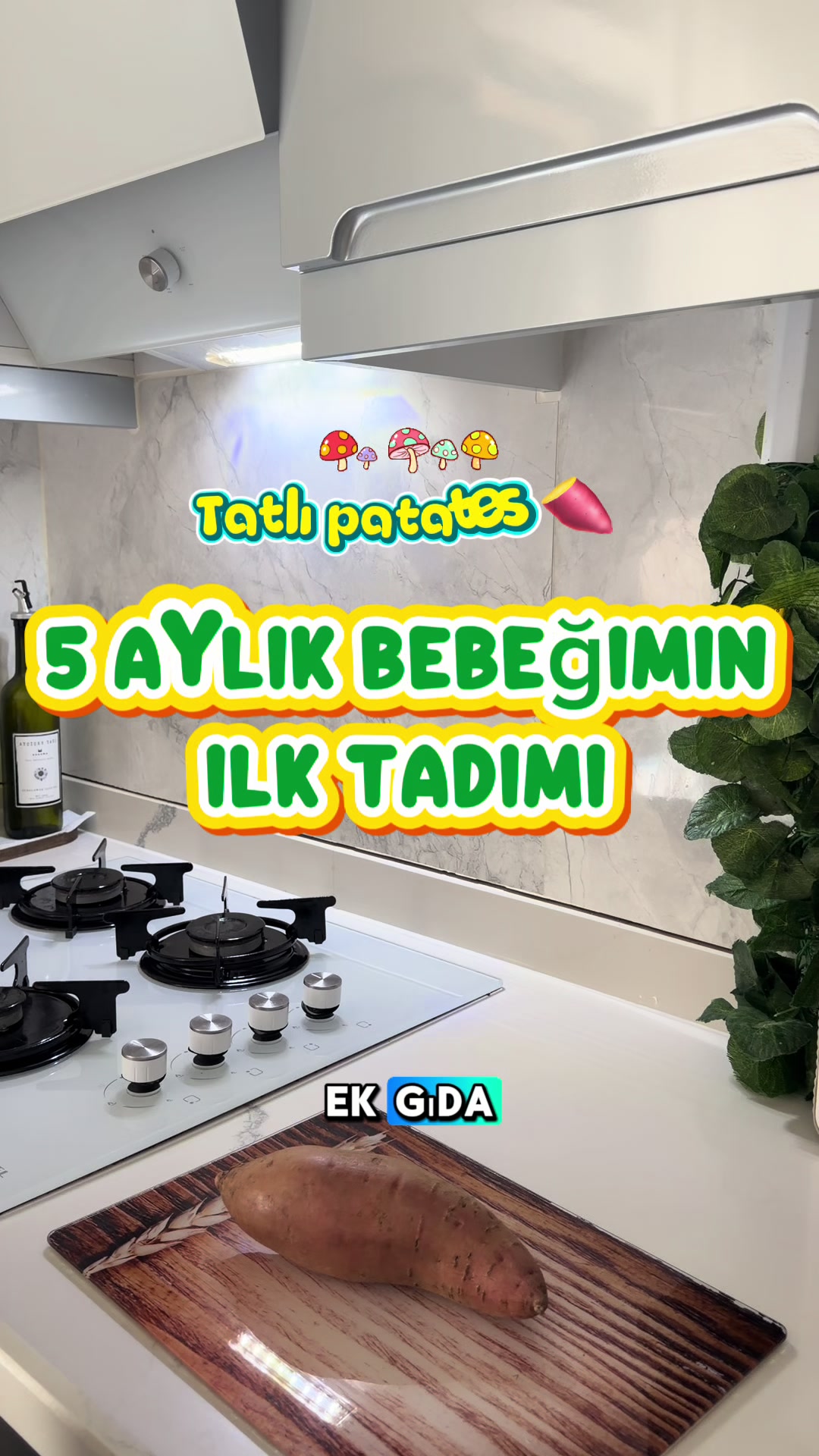 @yasminellan