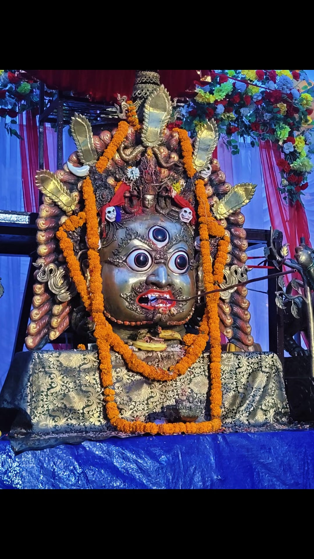 @Tina Shrestha