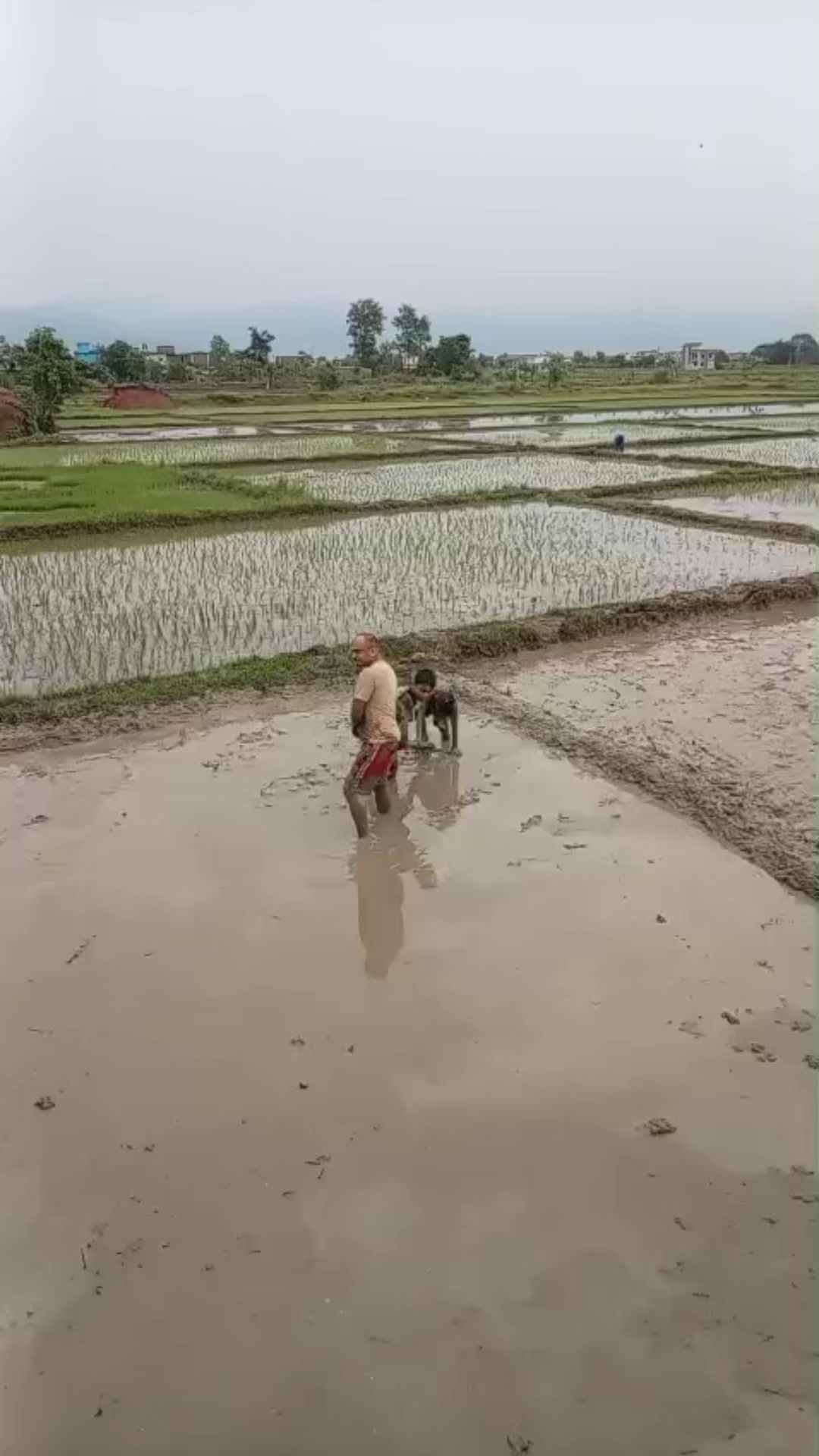 @Tulasiram Bhandari