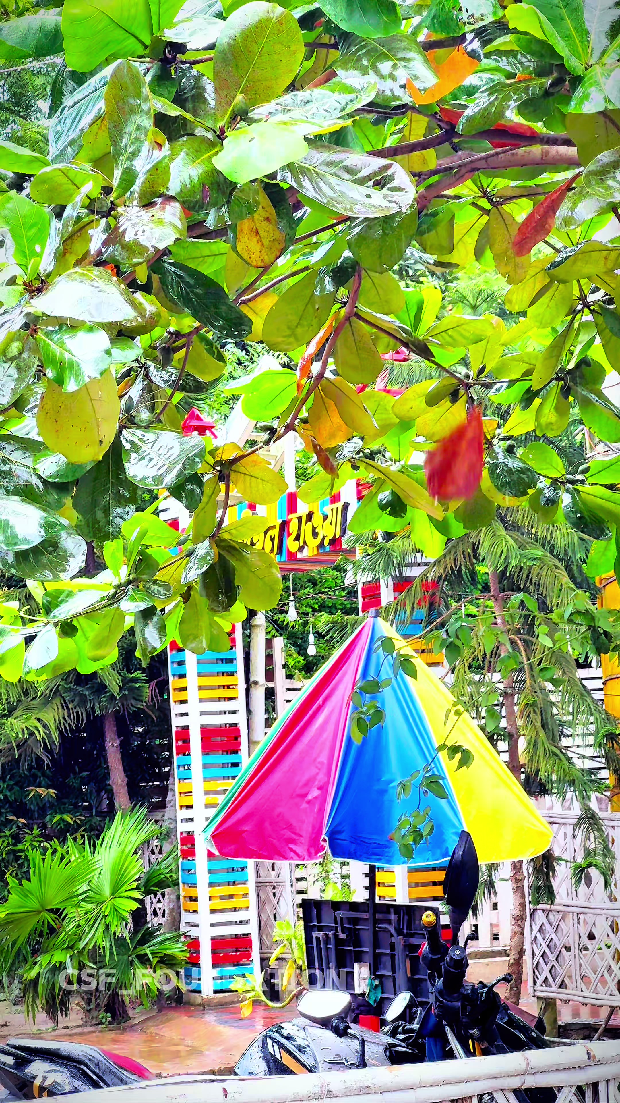 @🌼[ " CaFe শীতল হাওয়া " ]🌼