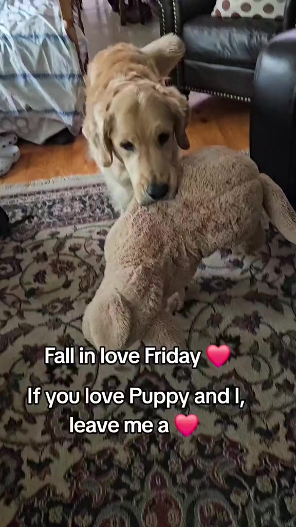 @🐶Griffin