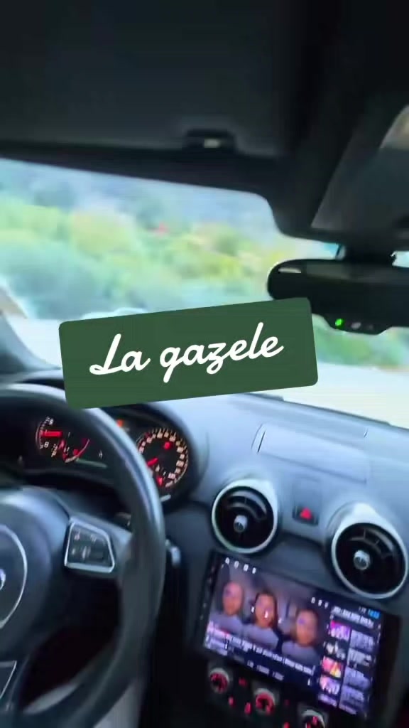@Gazelle Eleulma