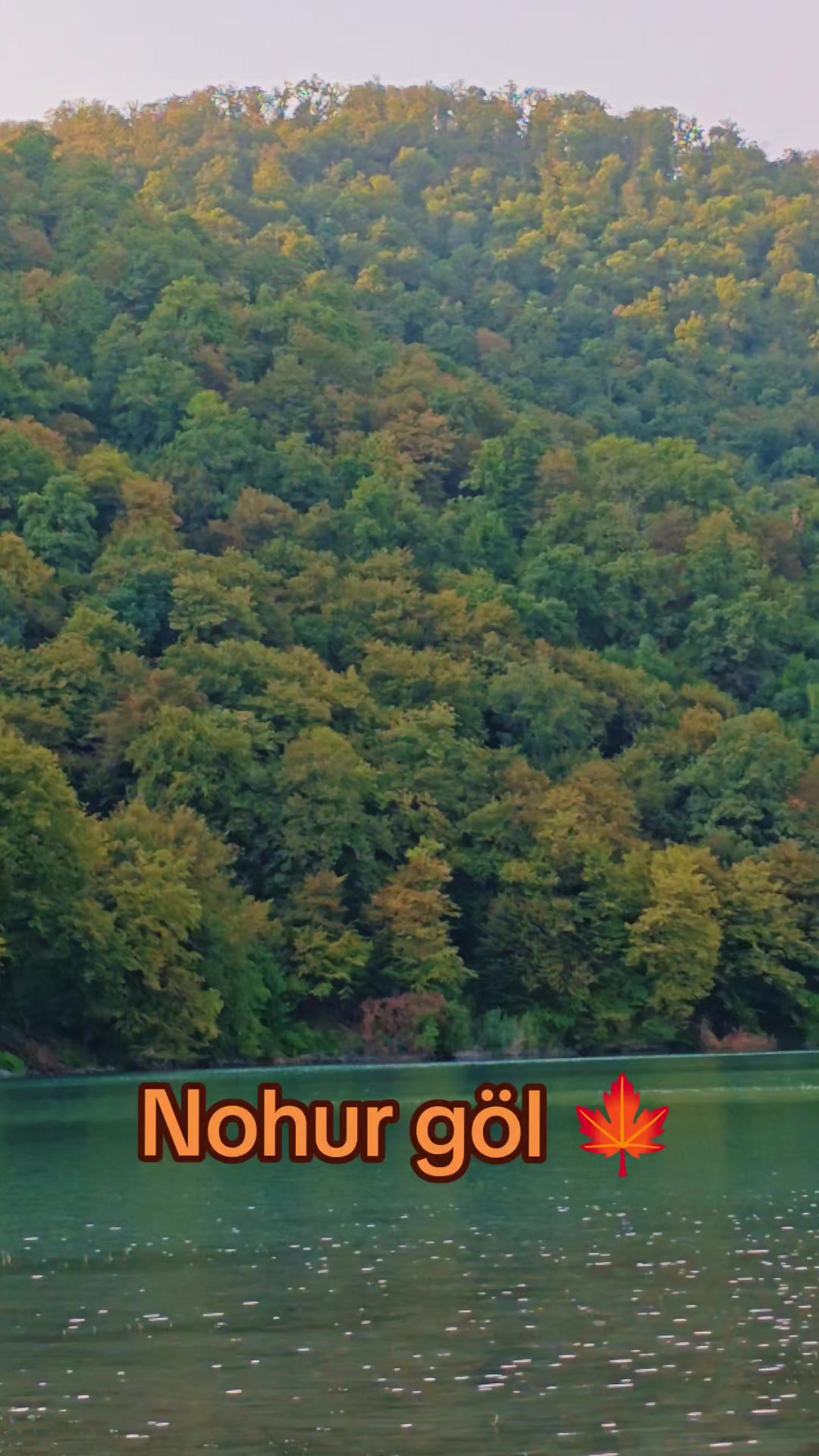@qebeleturizm
