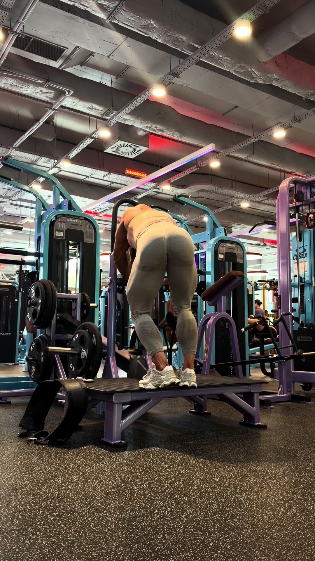 @Muscle mommy 🍑