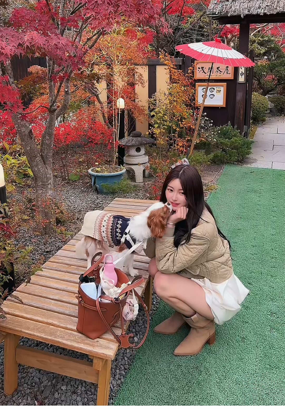 @まお🐶🌹