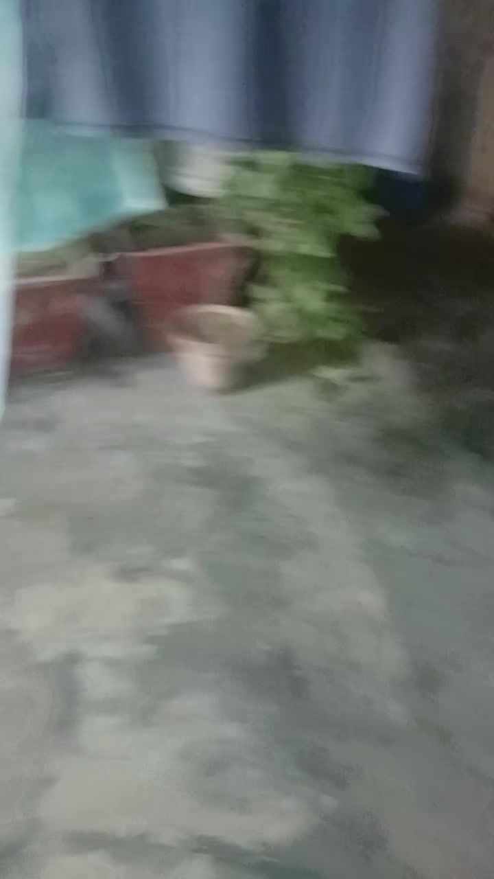 @ZUNERA ZIA