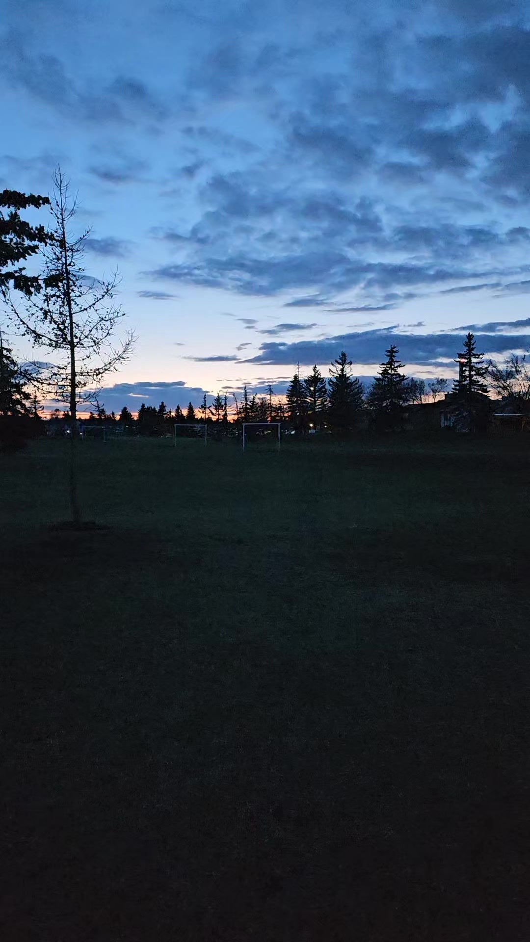 @Ammara 🇵🇰🇨🇦