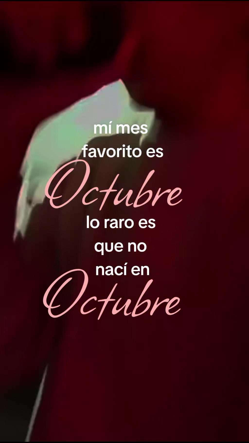 @⊹ ࣪ ˖𝗺𝗶𝗹𝗼𝘀𝘀𝗷𝜗ৎ