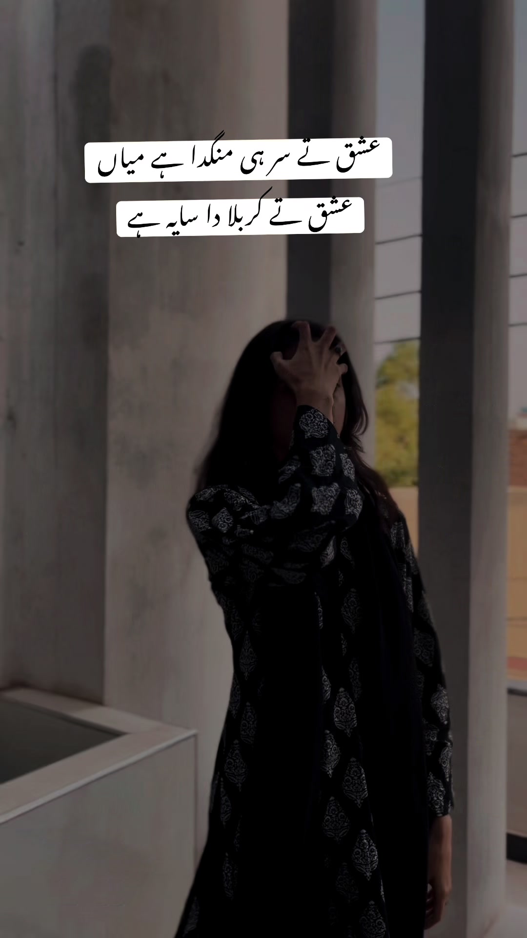 @AREESHY🐺