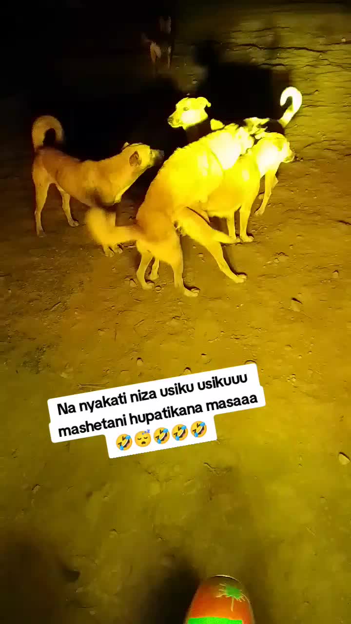 @🔥Joxêê Màmlùkì 🔥