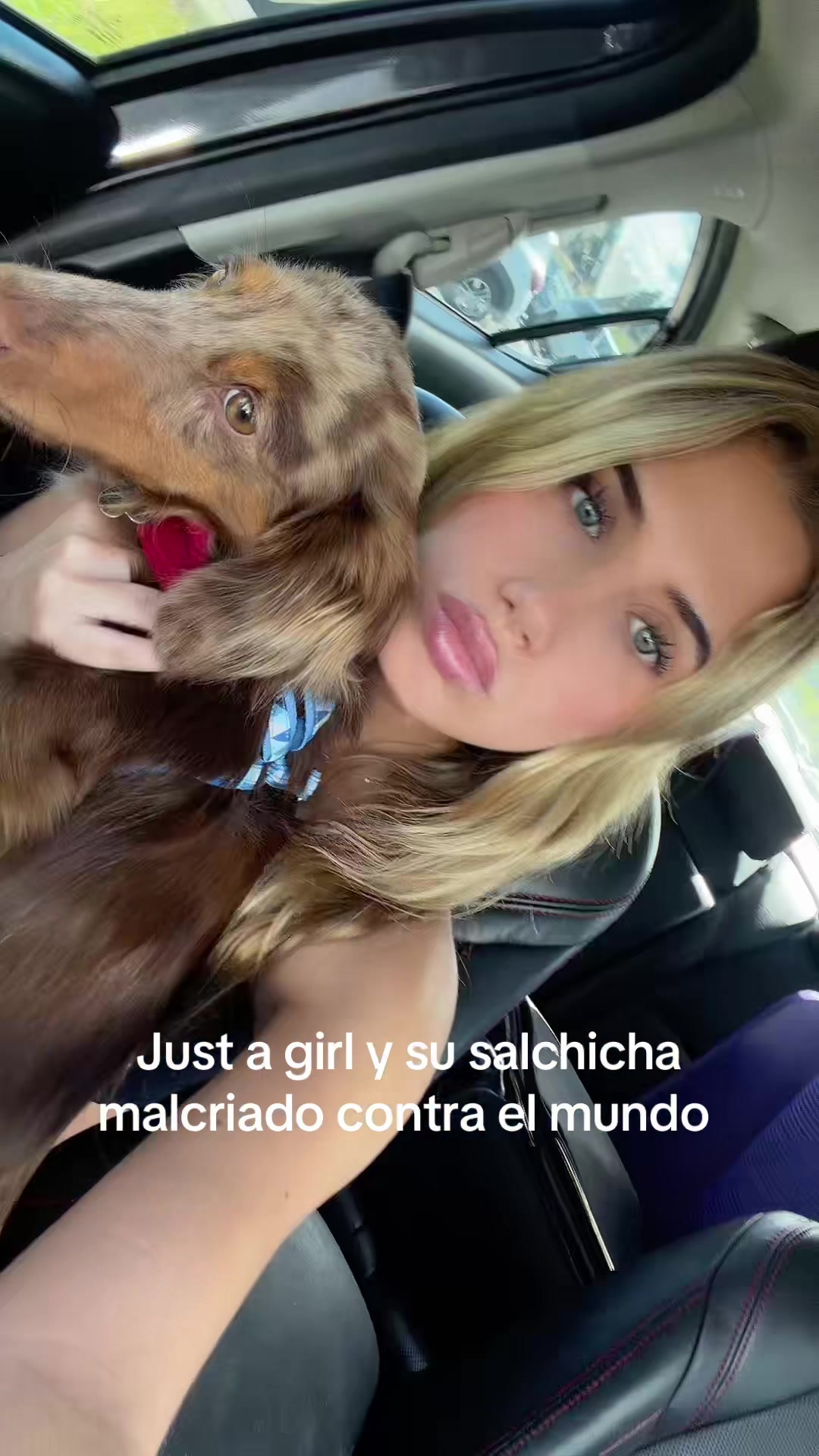 @Antonia Pelaez
