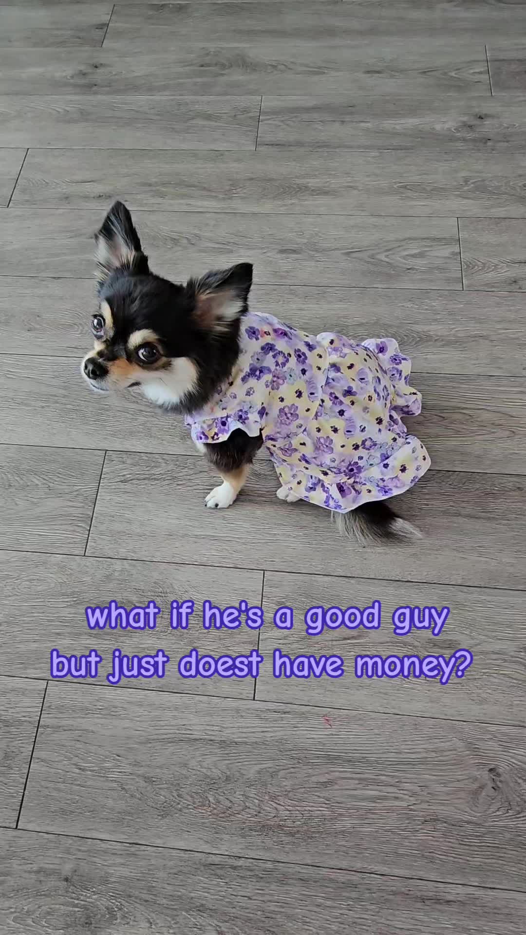 @Pawsha