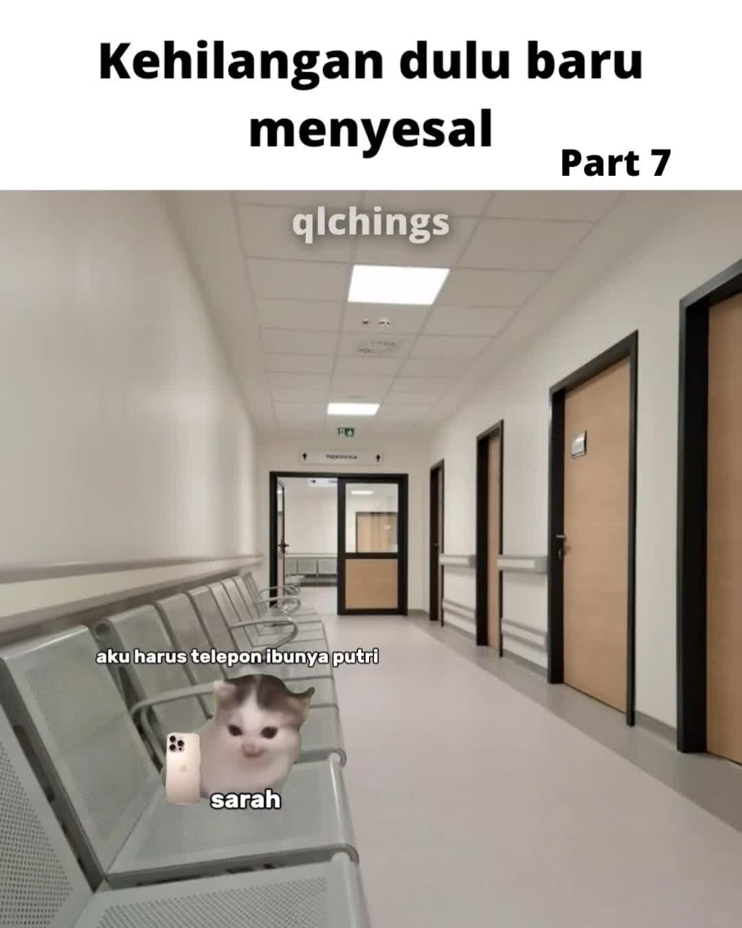 @qlchings