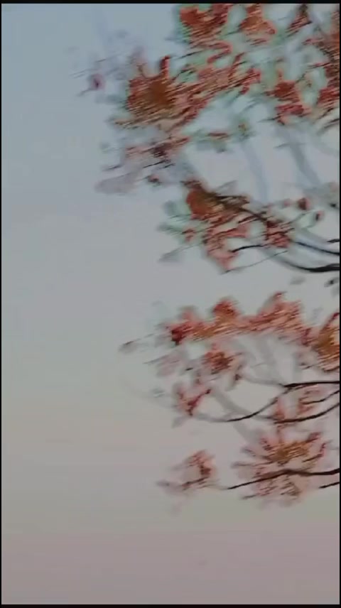 @🇯 🇪 🇷 🇷 🇾