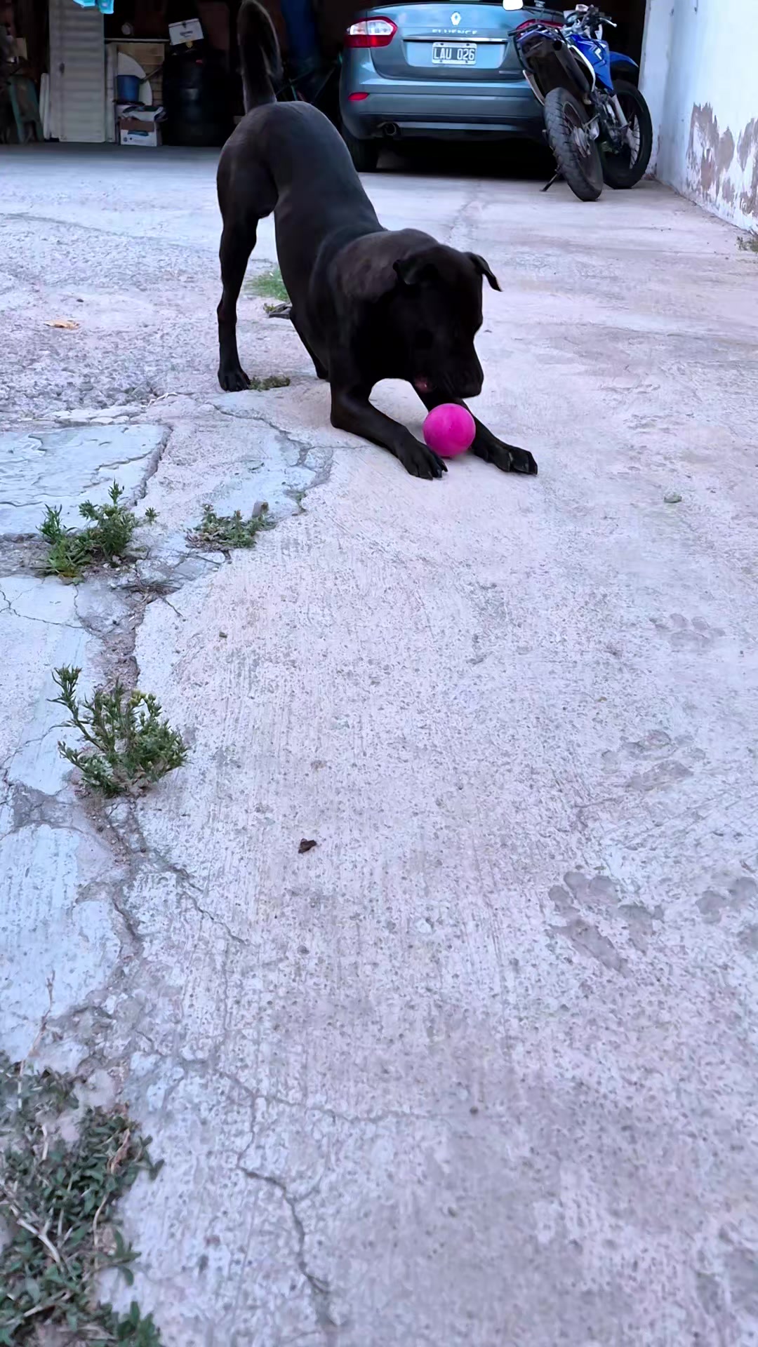 @EMI-NDV🇦🇷