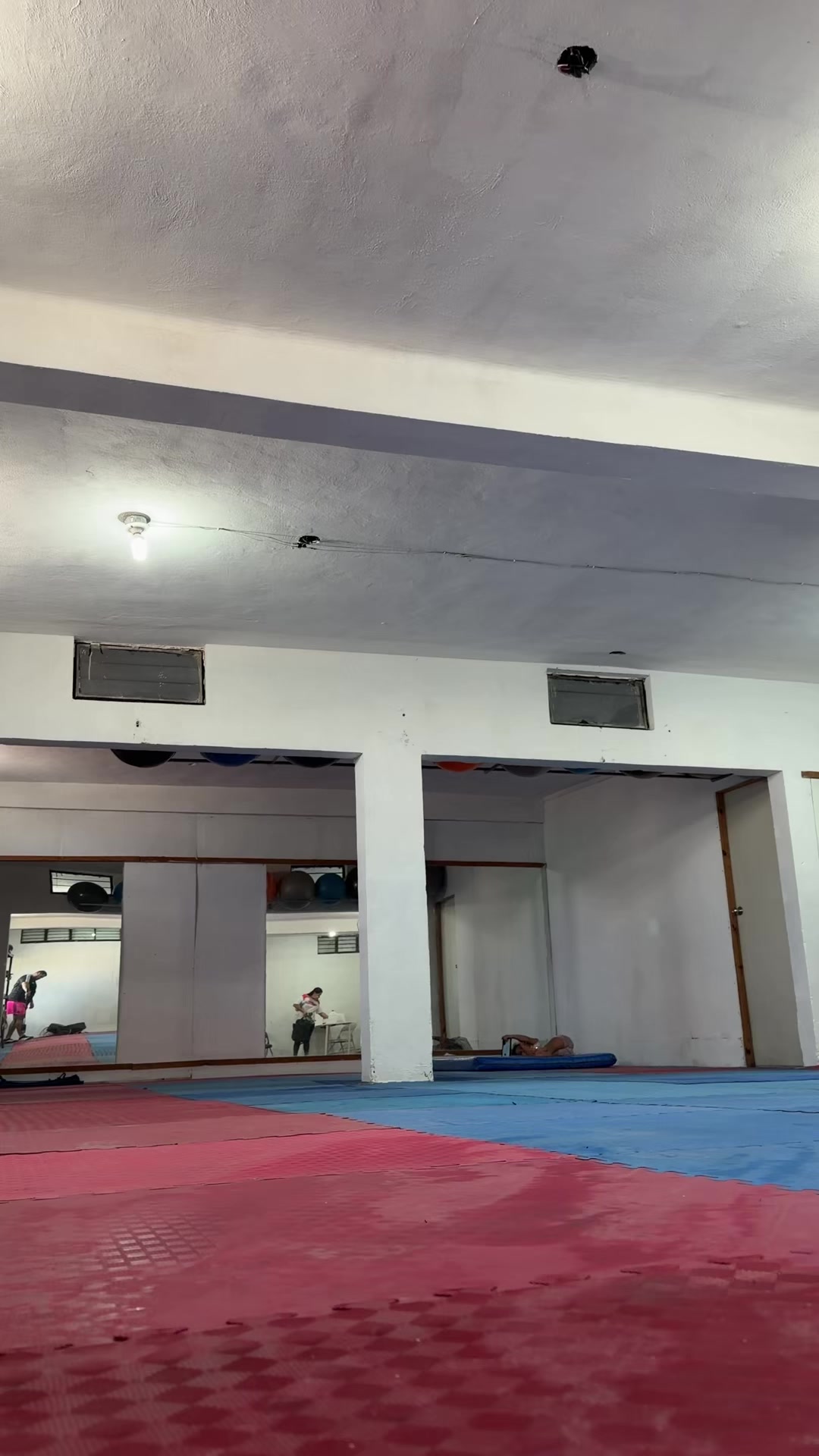 @taekwondolionsteam