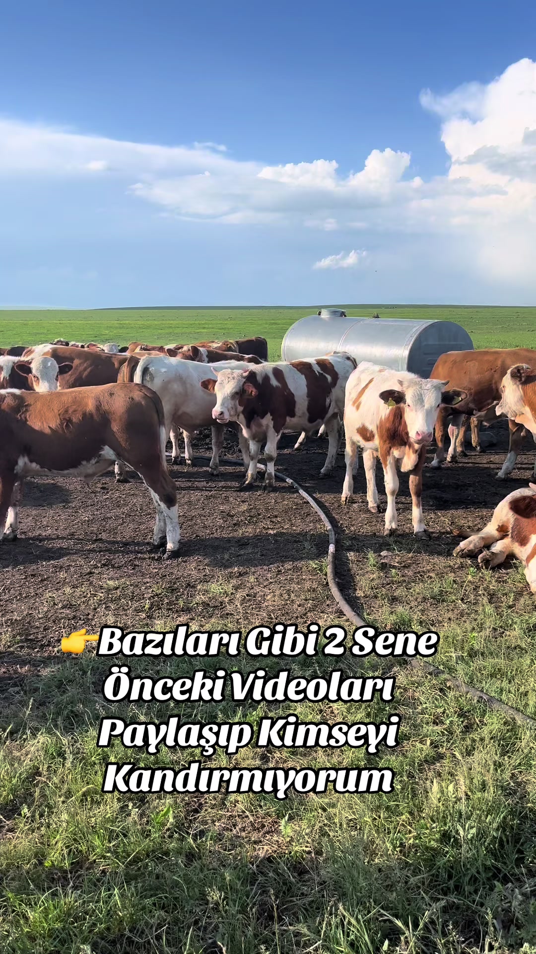 @👑KARSDOĞUBESİCİLİK05536304236