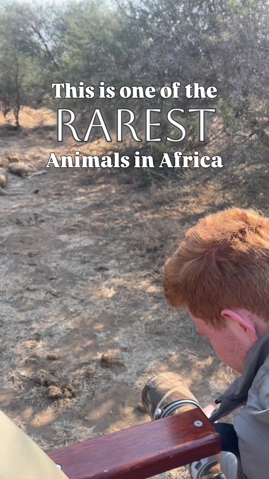 @Africa with Ollie