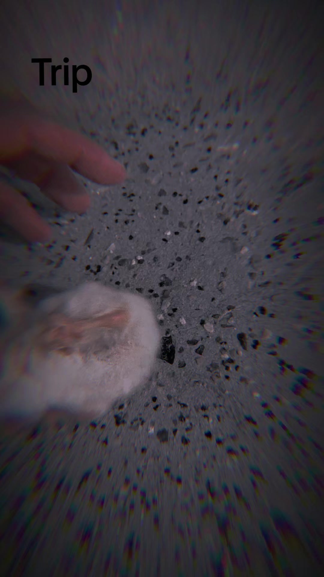@White C00k