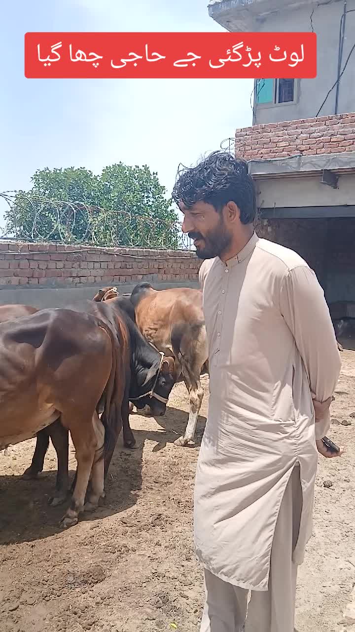 @Farming and Business Ideas