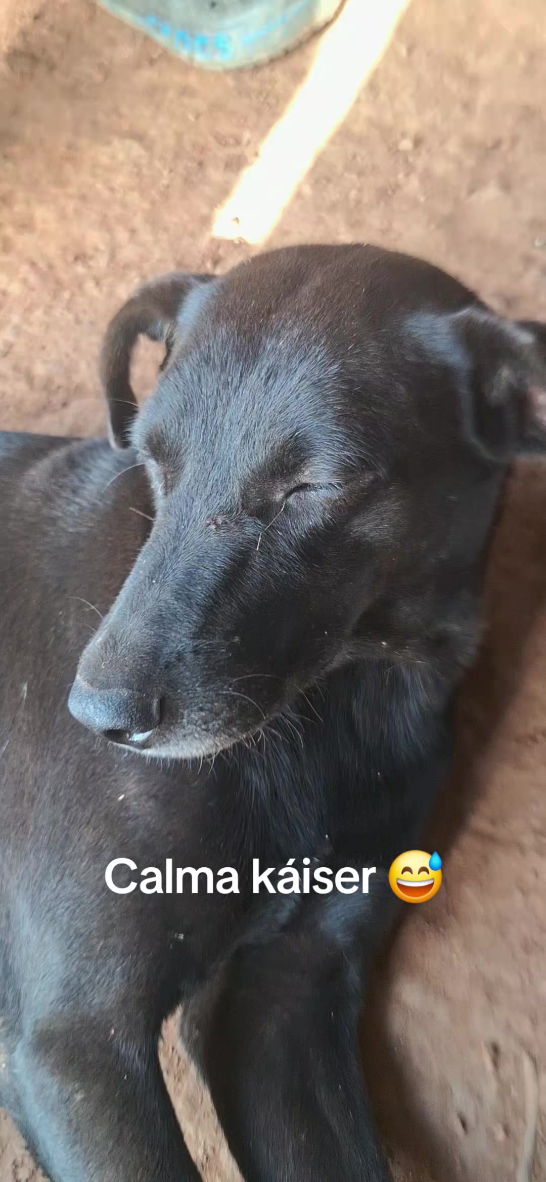 @Řobleto+🐄/Rancho (🐎)+🤠
