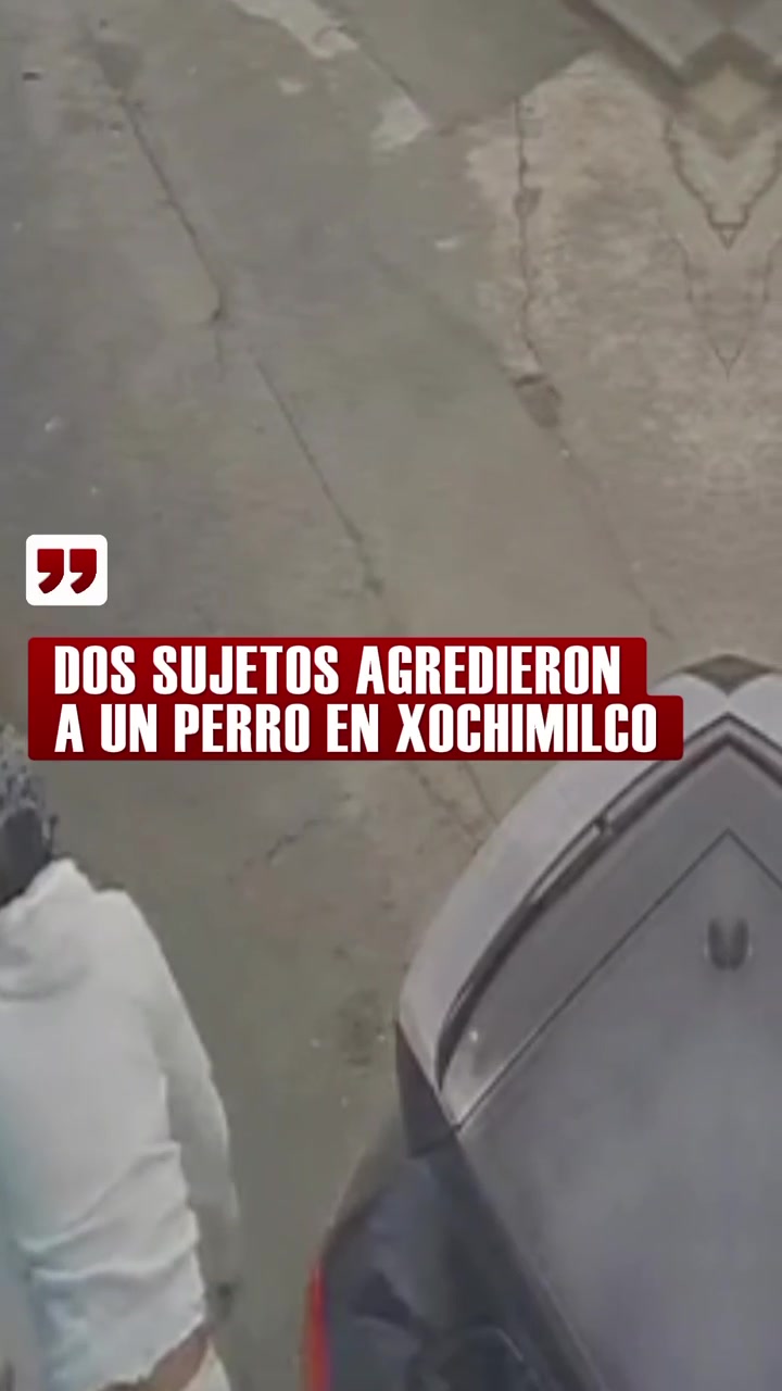 @lvn_noticias
