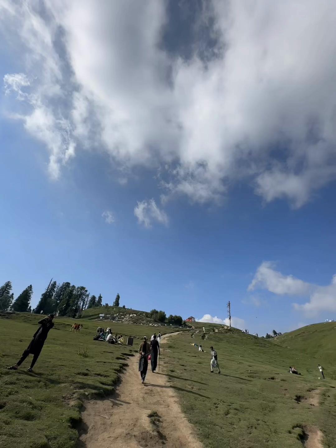 @ایوبیہ🌸