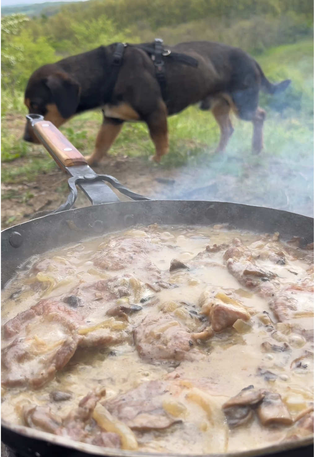 @outdoormilutin