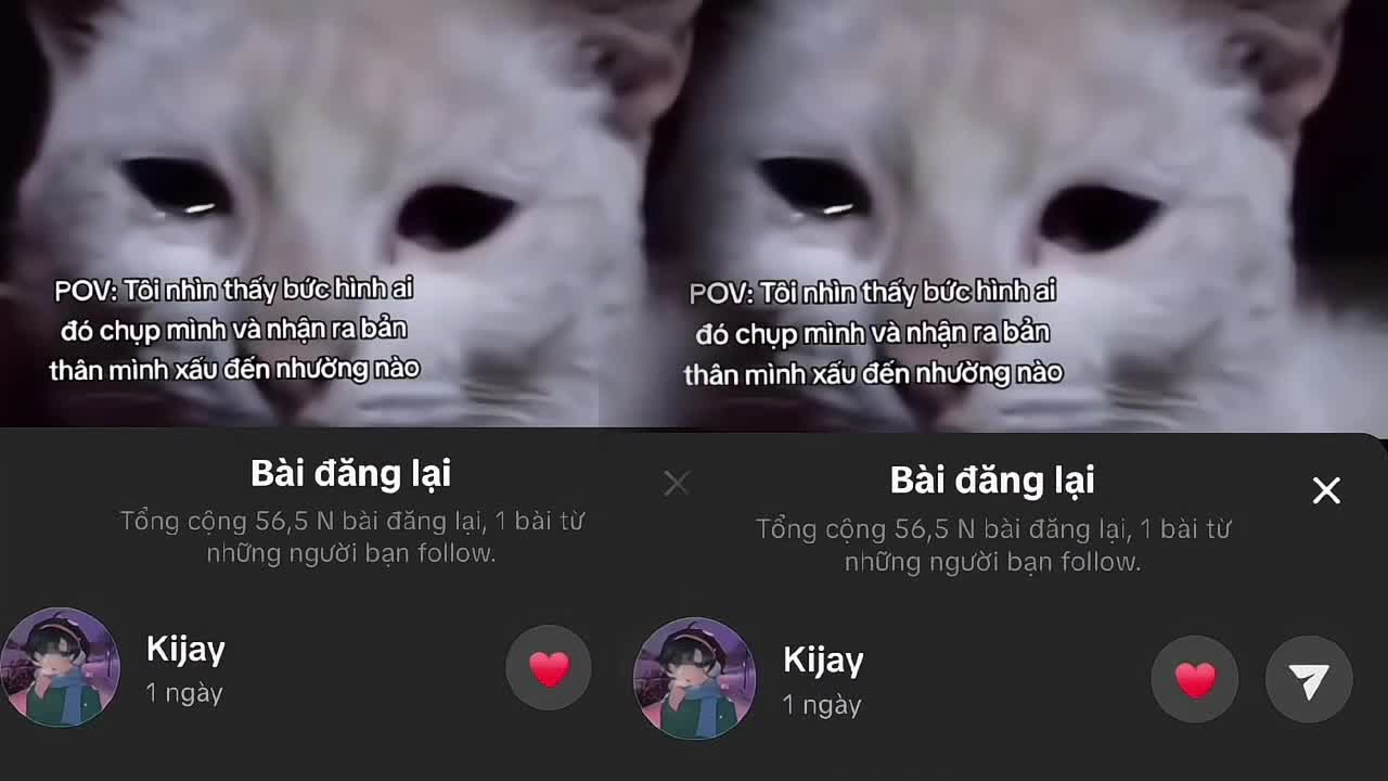@my jju