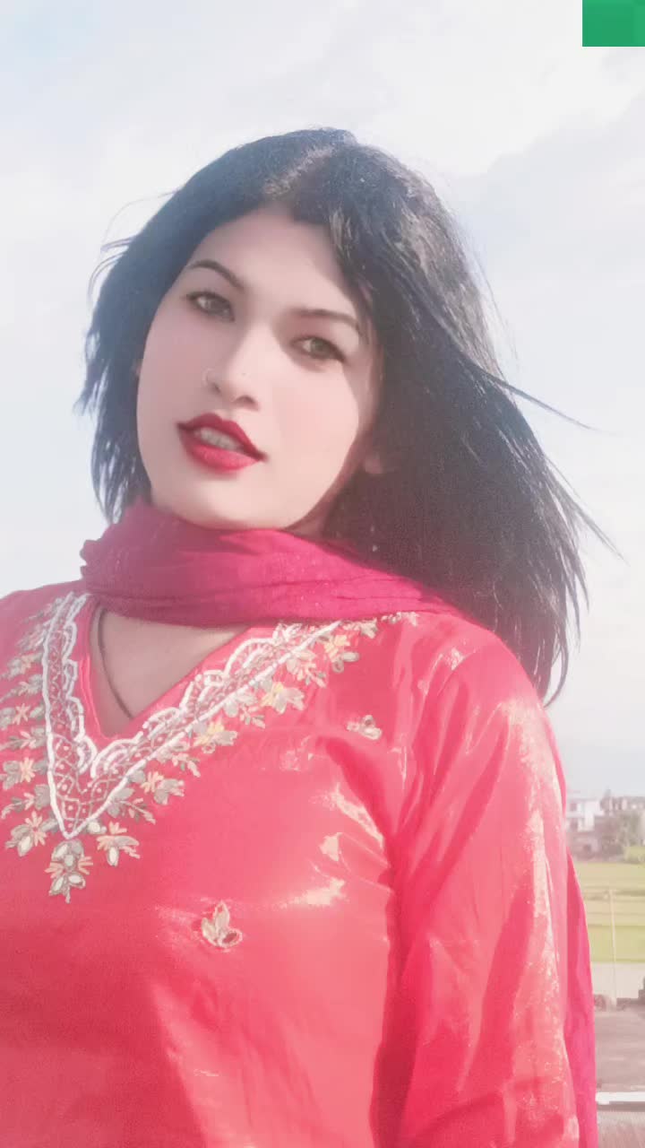 @user06559938822