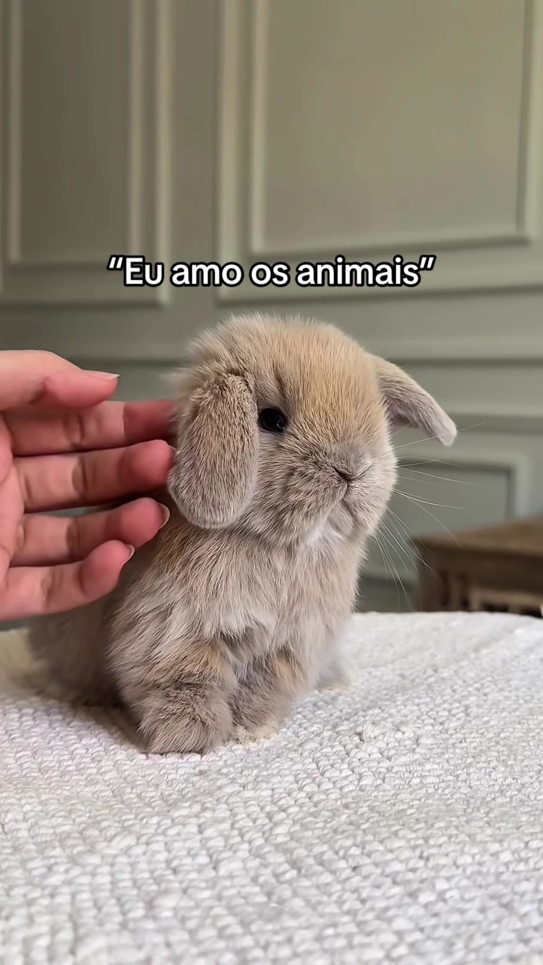 @Carne &eacute; cruel