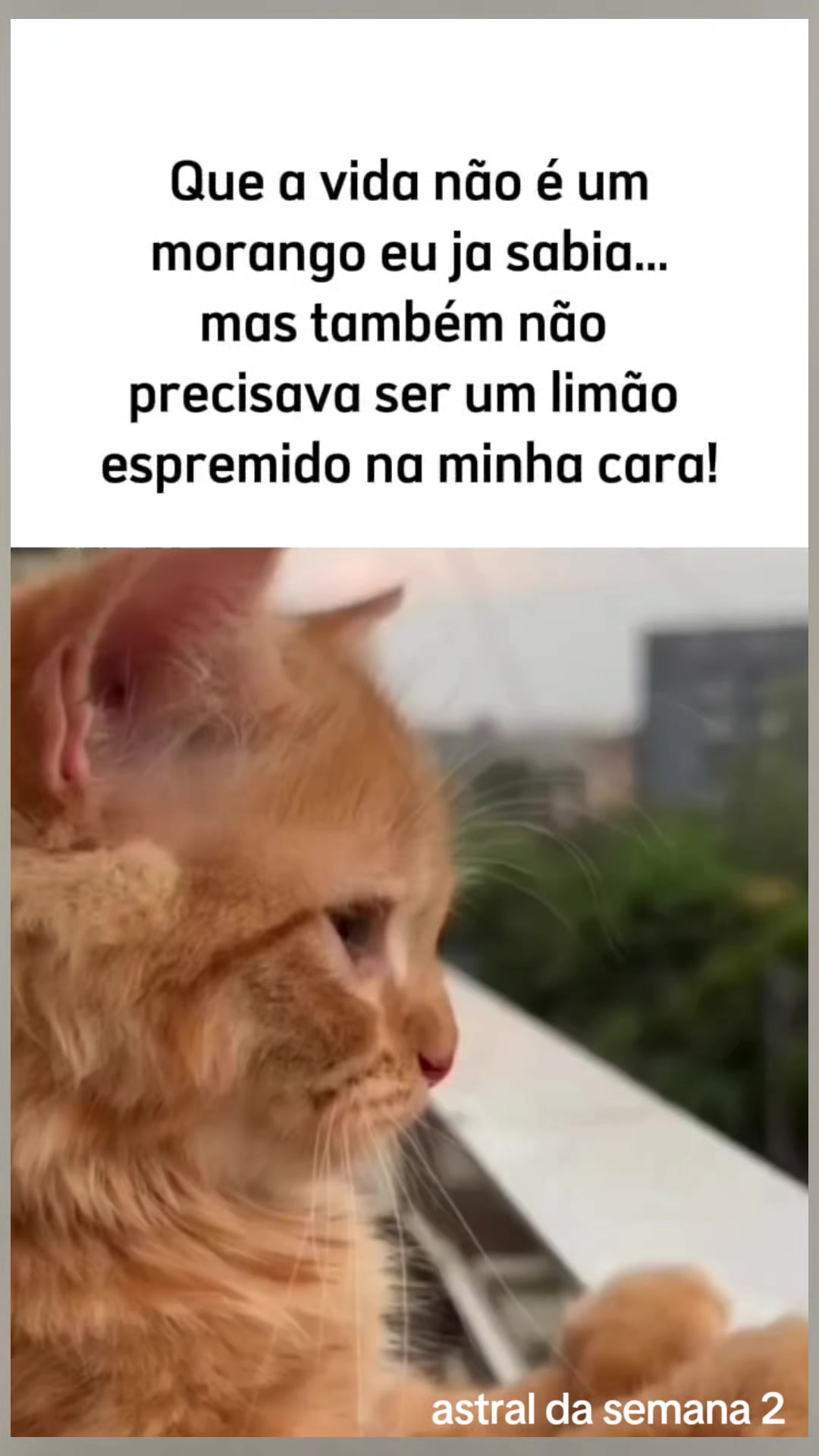 @Astral da semana 2