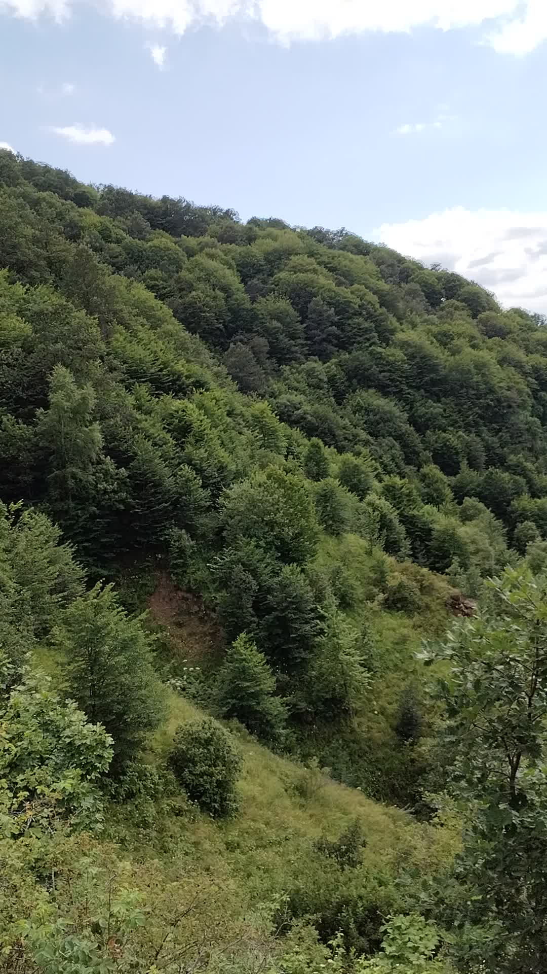 @LAÇIN EMİN