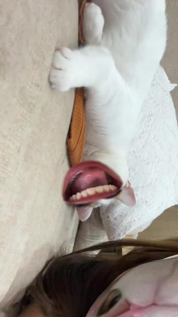 @C&ocirc; g&aacute;i  năng lượng 🫶🏻