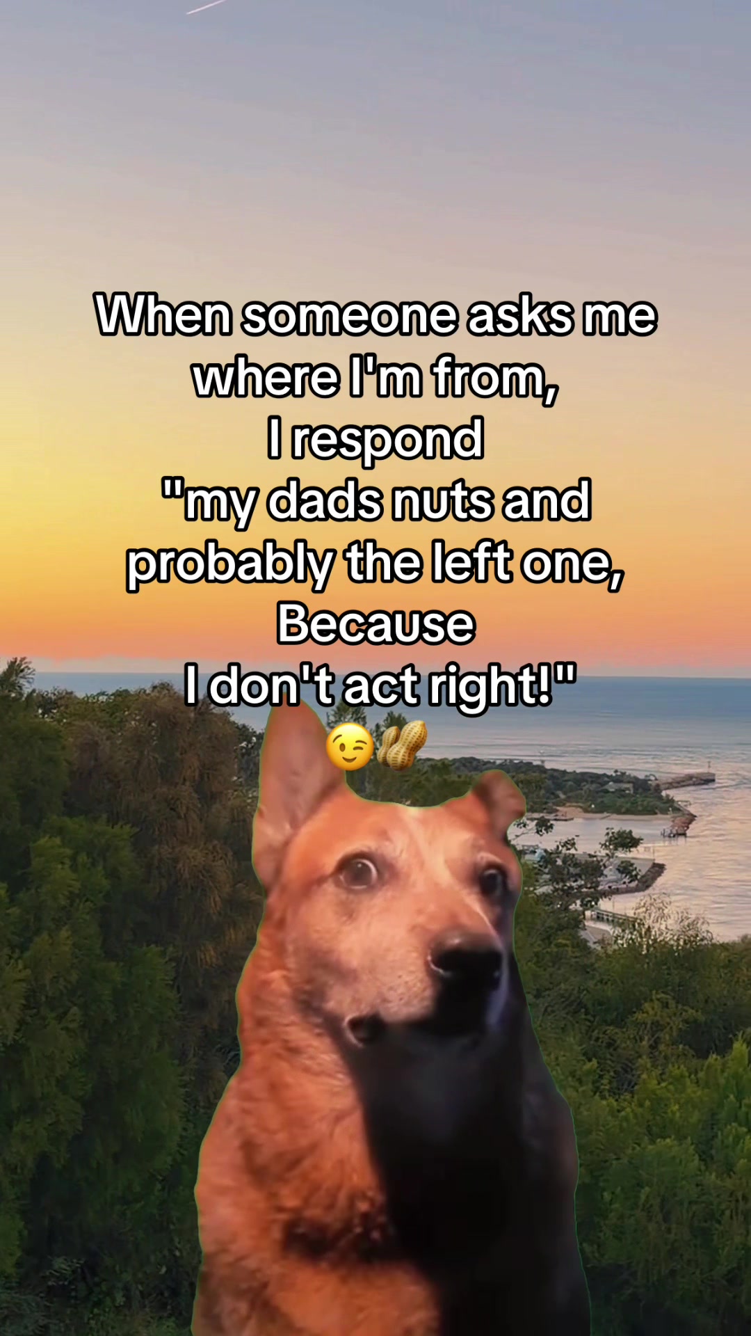 @Mr.Quotes